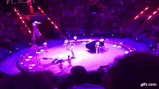 Акробат пытался побить рекорд Гиннесса по числу сальто, но сломал шею (видео)