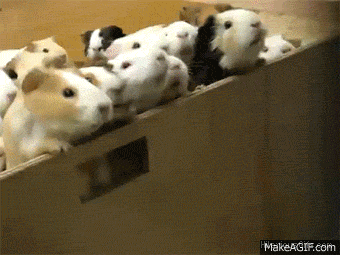 Комиссар ЕС: Евросоюз может приостановить безвиз для ряда стран