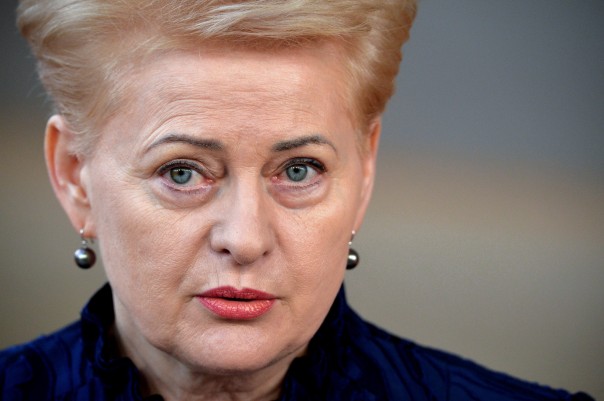 Сломался единственный самолёт. Президент Литвы не попала на праздник в Латвию