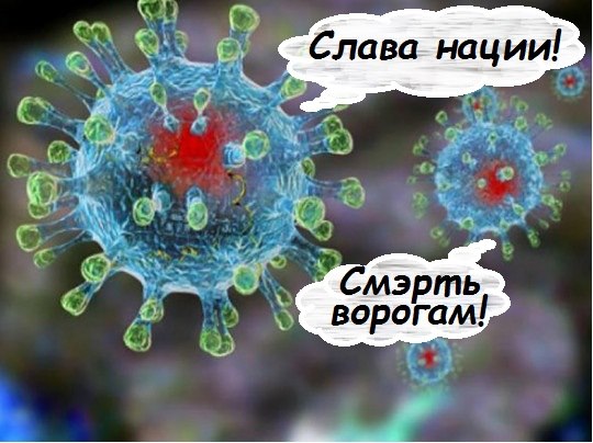 Как иностранные СМИ объясняют дикий прием эвакуированных украинцев из Китая. «Страна», Украина